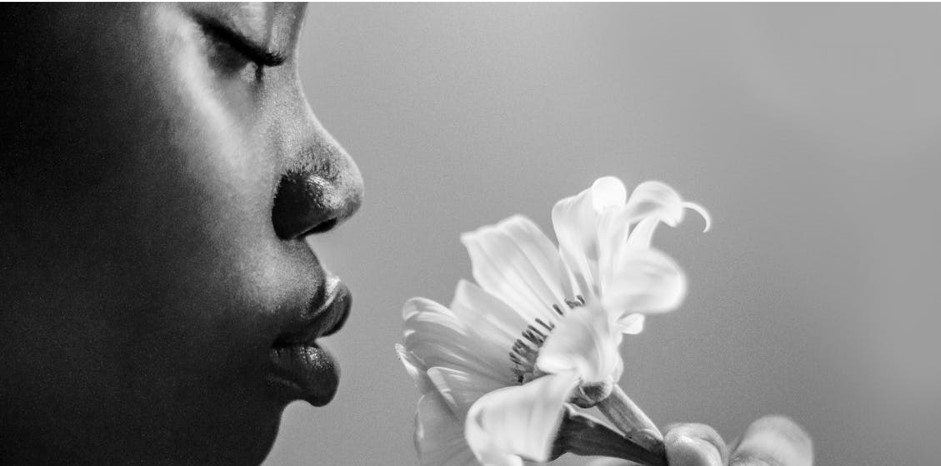 Scent Detection in Health: The Synergy Between Electronic Noses and Human Olfactory Systems